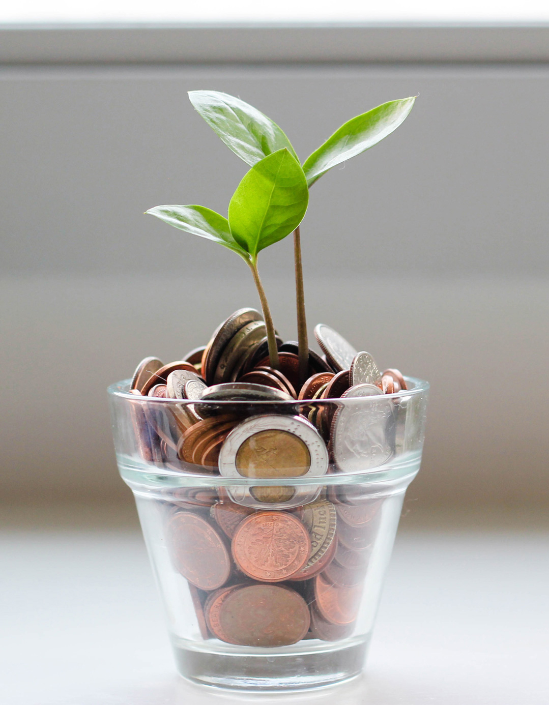 A small plant grows on a pot filled with coins through financial planning.